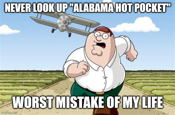 Worst mistake of my life | NEVER LOOK UP "ALABAMA HOT POCKET"; WORST MISTAKE OF MY LIFE | image tagged in worst mistake of my life | made w/ Imgflip meme maker