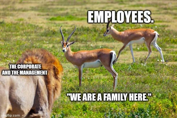 "We are a family here". | EMPLOYEES. THE CORPORATE AND THE MANAGEMENT; "WE ARE A FAMILY HERE." | image tagged in work,customer service | made w/ Imgflip meme maker