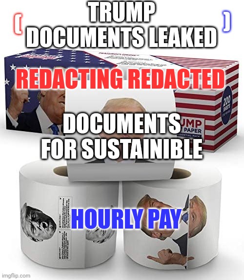 FBI Where to put fingerprints to fake reading of documents | REDACTING REDACTED; DOCUMENTS FOR SUSTAINIBLE; HOURLY PAY | image tagged in trump documents leaked template,why is the fbi here,fbi documents,trump spy,spying on columbians,disturbing the wartime | made w/ Imgflip meme maker