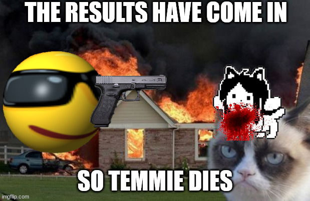 Burn Kitty Meme | THE RESULTS HAVE COME IN; SO TEMMIE DIES | image tagged in memes,burn kitty,grumpy cat | made w/ Imgflip meme maker