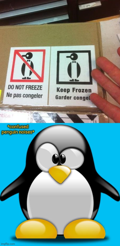 Contradictory | *confused penguin noises* | image tagged in confused penguin,you had one job,penguin,contradictory,memes,meme | made w/ Imgflip meme maker