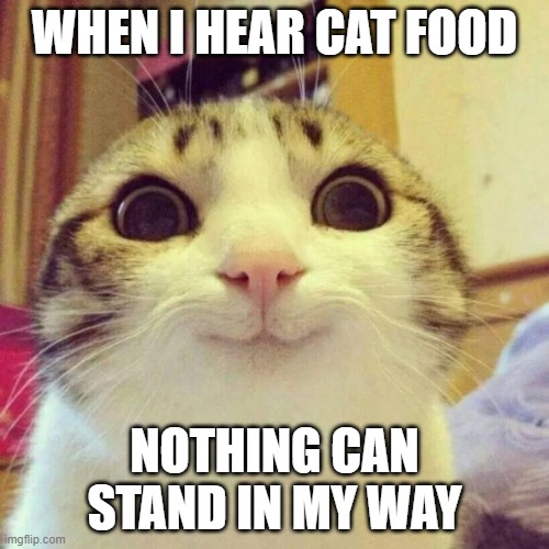 Smiling Cat | WHEN I HEAR CAT FOOD; NOTHING CAN STAND IN MY WAY | image tagged in memes,smiling cat | made w/ Imgflip meme maker