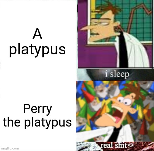 Sleeping Shaq Meme | A platypus; Perry the platypus | image tagged in memes,doofenshmirtz,perry the platypus,phineas and ferb | made w/ Imgflip meme maker