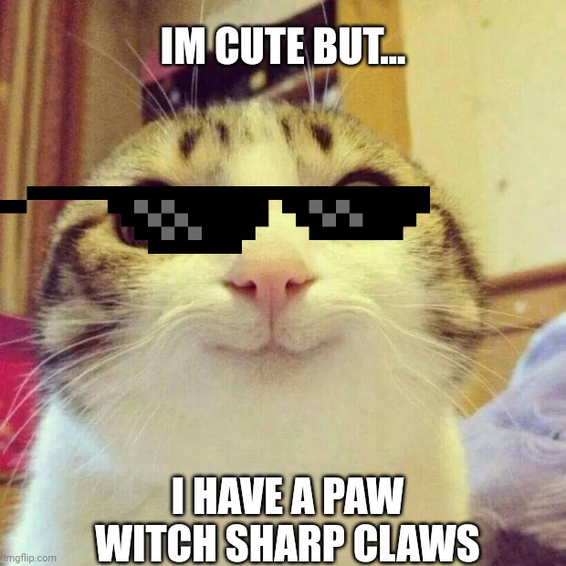 Smiling Cat | IM CUTE BUT... I HAVE A PAW WITCH SHARP CLAWS | image tagged in memes,smiling cat | made w/ Imgflip meme maker