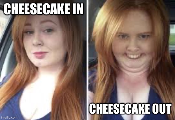 Pretty vs Ugly Girl Template by MemerGirl2020 | CHEESECAKE IN CHEESECAKE OUT | image tagged in pretty vs ugly girl template by memergirl2020 | made w/ Imgflip meme maker