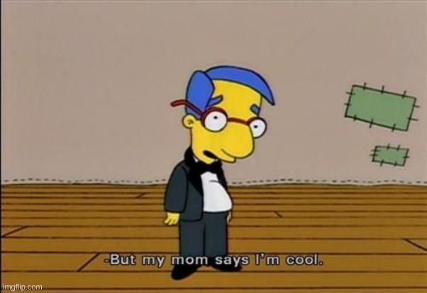 my mom says i'm cool | image tagged in my mom says i'm cool | made w/ Imgflip meme maker