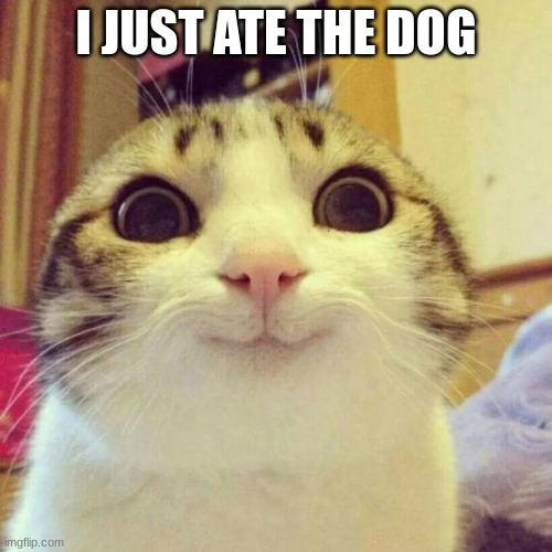 kitty did what now? | I JUST ATE THE DOG | image tagged in memes,smiling cat | made w/ Imgflip meme maker