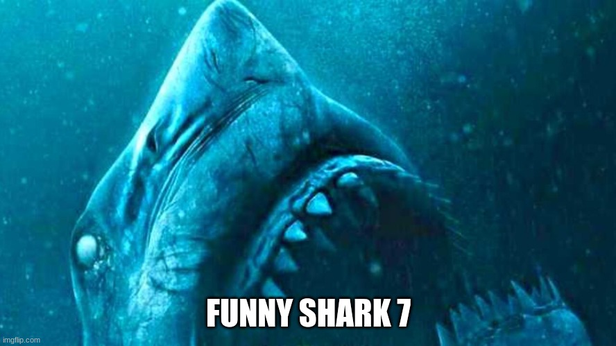 FUNNY SHARK 7 | made w/ Imgflip meme maker