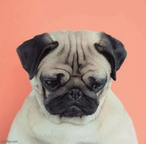 Sorry to hear | image tagged in sorry to hear | made w/ Imgflip meme maker