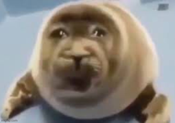 Crying seal | image tagged in crying seal | made w/ Imgflip meme maker