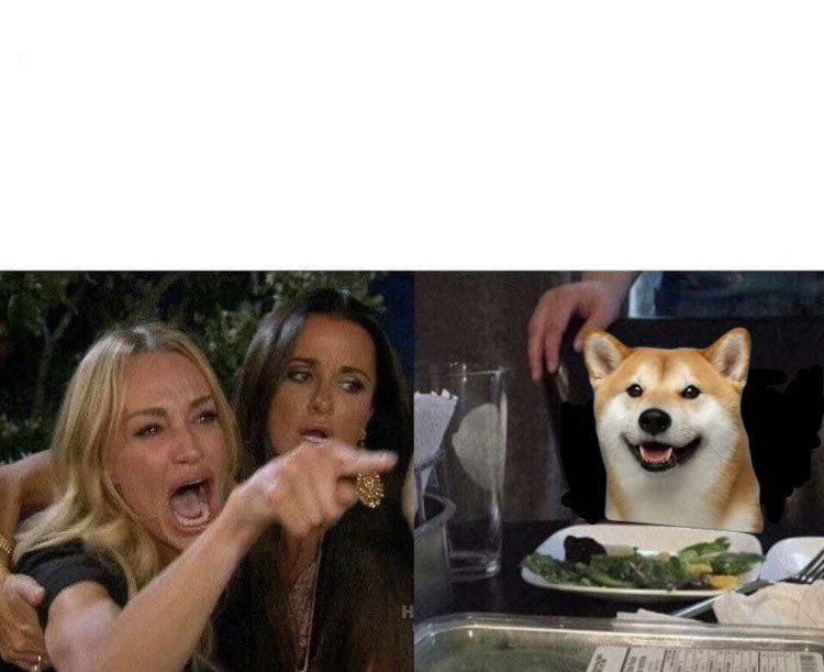 High Quality Women yelling at dog Blank Meme Template