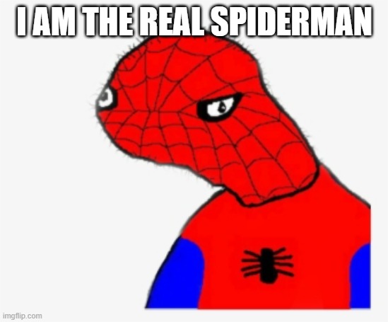 spiderman | I AM THE REAL SPIDERMAN | image tagged in funny | made w/ Imgflip meme maker