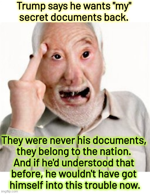 Trump delusional | Trump says he wants "my" 
secret documents back. They were never his documents, 
they belong to the nation. 
And if he'd understood that 
before, he wouldn't have got 
himself into this trouble now. | image tagged in national,owner,trump,delusional | made w/ Imgflip meme maker