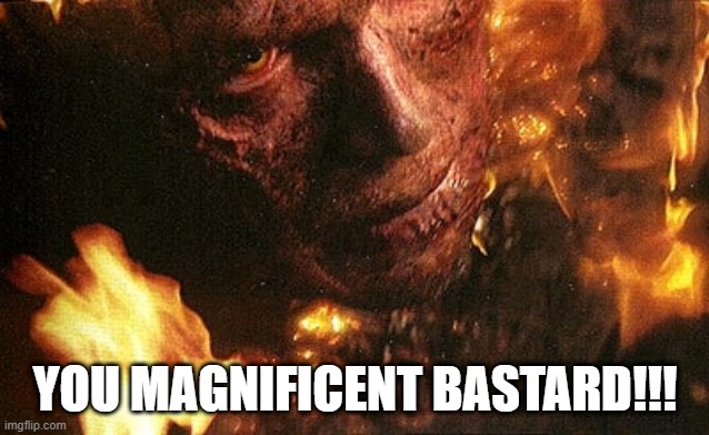 Anakin on fire | YOU MAGNIFICENT BASTARD!!! | image tagged in anakin on fire | made w/ Imgflip meme maker