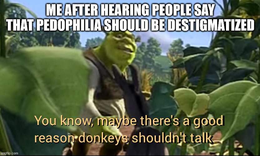 Maybe there's a good reason donkeys shouldn't talk | ME AFTER HEARING PEOPLE SAY THAT PEDOPHILIA SHOULD BE DESTIGMATIZED | image tagged in maybe there's a good reason donkeys shouldn't talk | made w/ Imgflip meme maker