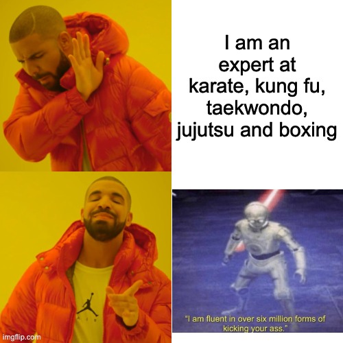 yes because yes | I am an expert at karate, kung fu, taekwondo, jujutsu and boxing | image tagged in memes,drake hotline bling | made w/ Imgflip meme maker