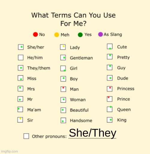 i am everything to ever exist | She/They | image tagged in pronouns sheet | made w/ Imgflip meme maker