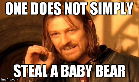 One Does Not Simply Meme | ONE DOES NOT SIMPLY STEAL A BABY BEAR | image tagged in memes,one does not simply | made w/ Imgflip meme maker