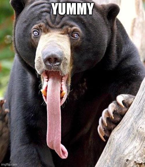 yummy | YUMMY | image tagged in yummy | made w/ Imgflip meme maker