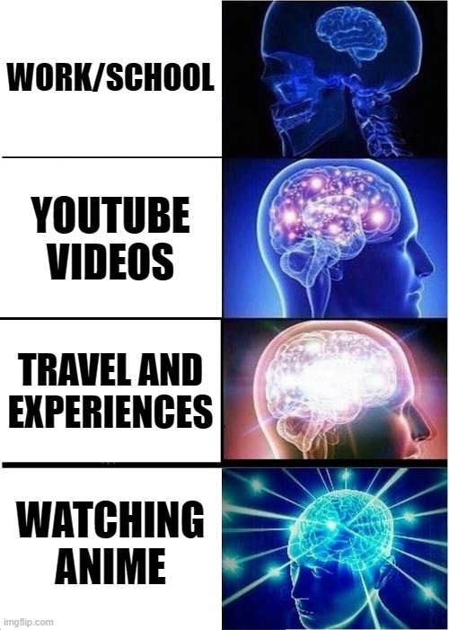 How to gain true knowledge in this life | WORK/SCHOOL; YOUTUBE VIDEOS; TRAVEL AND EXPERIENCES; WATCHING ANIME | image tagged in memes,expanding brain,anime,funny,gaming,youtube | made w/ Imgflip meme maker