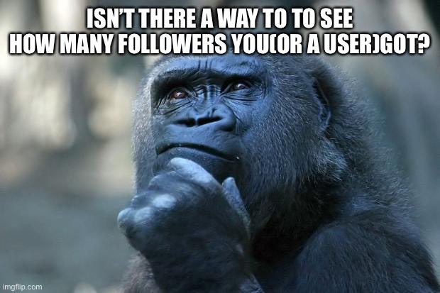 Well I already knew a way to see your own followers via Memechat but isn’t there an easy way(If not, can there be)? And to also  | ISN’T THERE A WAY TO TO SEE HOW MANY FOLLOWERS YOU(OR A USER)GOT? | image tagged in deep thoughts | made w/ Imgflip meme maker