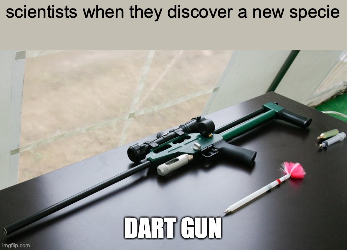 Tranquilizer dart gun |  scientists when they discover a new specie; DART GUN | image tagged in tranquilizer dart gun | made w/ Imgflip meme maker