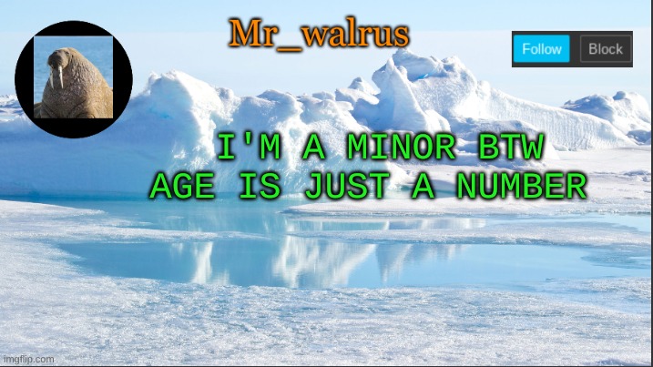 Mr_walrus | I'M A MINOR BTW AGE IS JUST A NUMBER | image tagged in mr_walrus | made w/ Imgflip meme maker