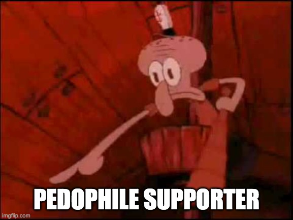 Squidward pointing | PEDOPHILE SUPPORTER | image tagged in squidward pointing | made w/ Imgflip meme maker