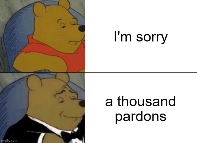 Tuxedo Winnie The Pooh |  I'm sorry; a thousand pardons | image tagged in memes,tuxedo winnie the pooh,i beg your pardon,winnie the pooh,gentleman,sorry | made w/ Imgflip meme maker