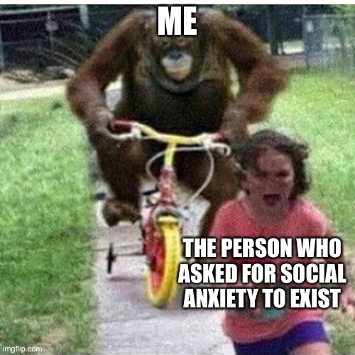 ape on bike | ME THE PERSON WHO ASKED FOR SOCIAL ANXIETY TO EXIST | image tagged in ape on bike | made w/ Imgflip meme maker