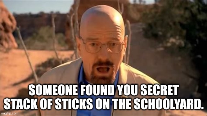 Sad truth | SOMEONE FOUND YOU SECRET STACK OF STICKS ON THE SCHOOLYARD. | image tagged in walter white fall | made w/ Imgflip meme maker