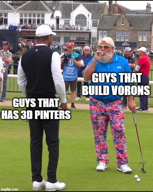 3D Printing Bros | GUYS THAT BUILD VORONS; GUYS THAT HAS 3D PINTERS | image tagged in john daly and tiger woods | made w/ Imgflip meme maker