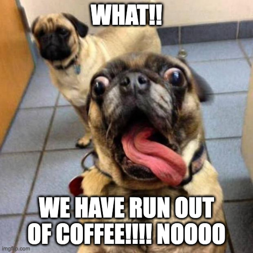No coffee | WHAT!! WE HAVE RUN OUT OF COFFEE!!!! NOOOO | image tagged in crazy dog | made w/ Imgflip meme maker