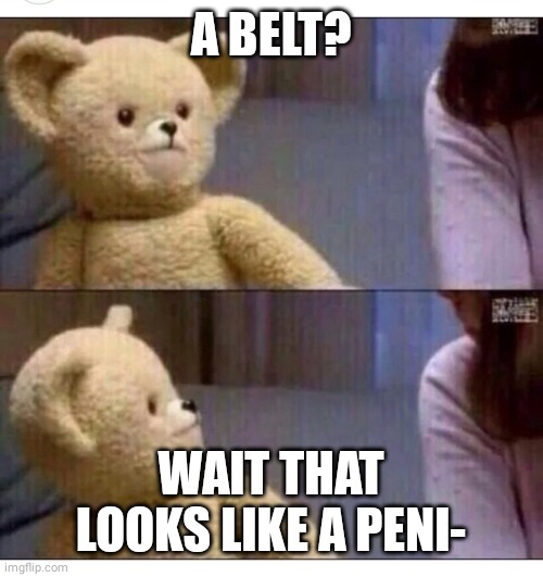 Wait what?? | A BELT? WAIT THAT LOOKS LIKE A PENI- | image tagged in wait what | made w/ Imgflip meme maker