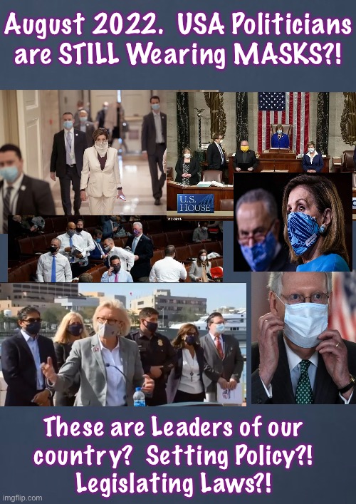 I thought these are supposed to be smart people | August 2022.  USA Politicians
are STILL Wearing MASKS?! These are Leaders of our
country?  Setting Policy?!
Legislating Laws?! | image tagged in memes,stoopid meaningless rules,masksareforsheepbanditosvillans,fvckthesemoronsandtheirbvllshitgames | made w/ Imgflip meme maker