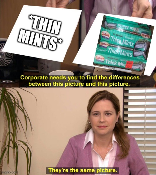 Ripoffs post 2 I guess | *THIN MINTS* | image tagged in they are the same picture | made w/ Imgflip meme maker