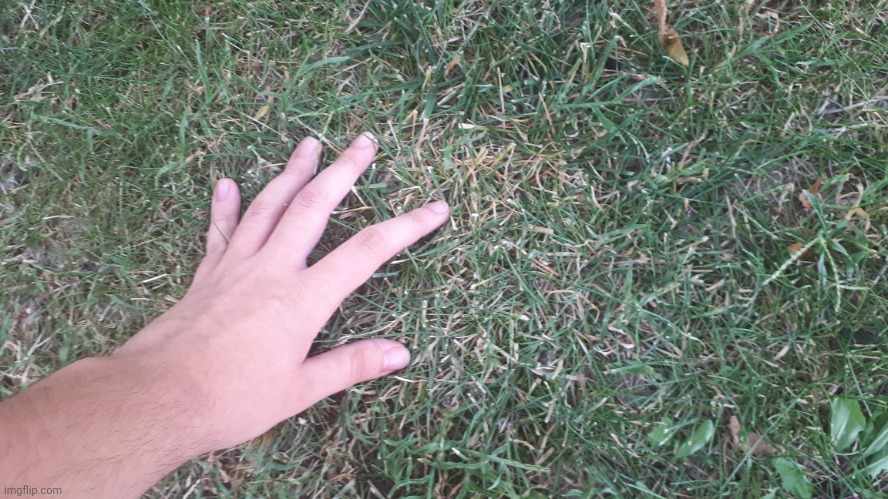 Touched some grass (some are dried tho) | made w/ Imgflip meme maker