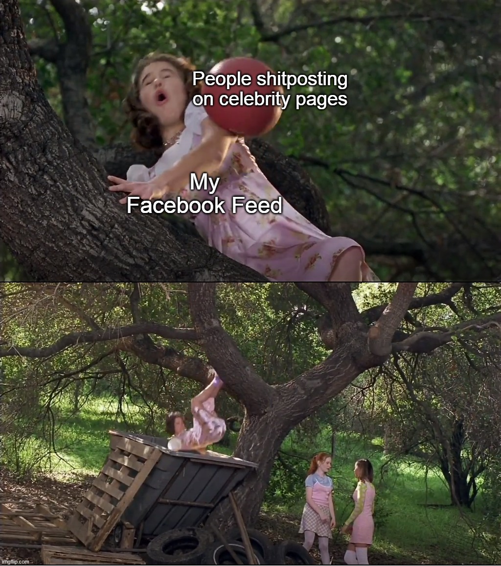 Those Pesky Idiots! | People shitposting on celebrity pages; My Facebook Feed | image tagged in cokie knocked out of the tree by a ball and into the dumpster,meme,memes,humor,facebook,hacked | made w/ Imgflip meme maker