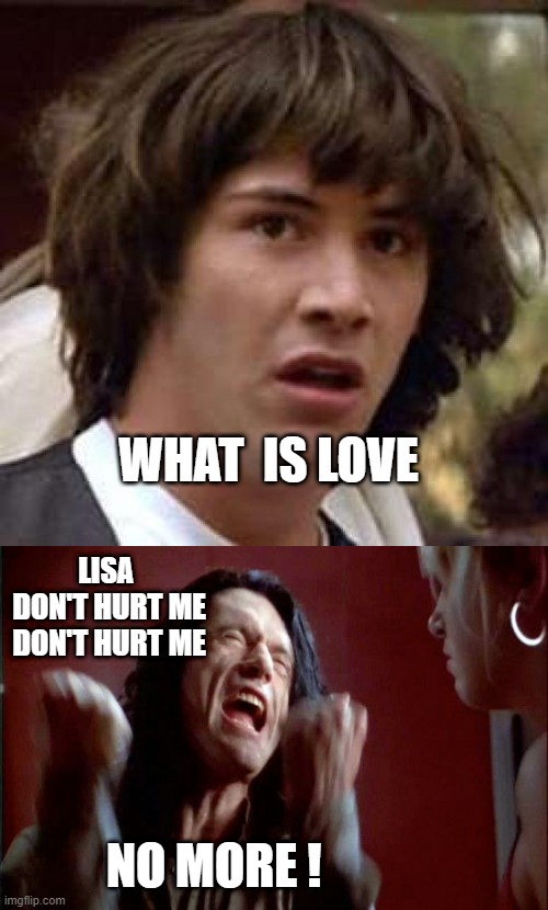 You're tearing me apart lisa  ! | WHAT  IS LOVE; LISA 
DON'T HURT ME
DON'T HURT ME; NO MORE ! | image tagged in memes,tommy w,what is love,no more | made w/ Imgflip meme maker