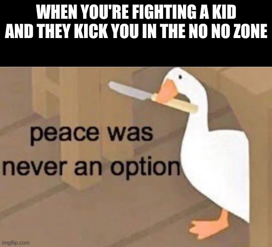 M Y B A L L S | WHEN YOU'RE FIGHTING A KID AND THEY KICK YOU IN THE NO NO ZONE | image tagged in peace was never an option,memes,funny memes,kicked,i have pain | made w/ Imgflip meme maker