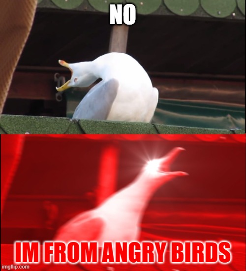 Screaming bird | NO IM FROM ANGRY BIRDS | image tagged in screaming bird | made w/ Imgflip meme maker