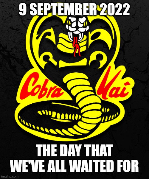 The day that Cobra Kai fans were waiting for | 9 SEPTEMBER 2022; THE DAY THAT WE'VE ALL WAITED FOR | image tagged in cobra kai,september | made w/ Imgflip meme maker