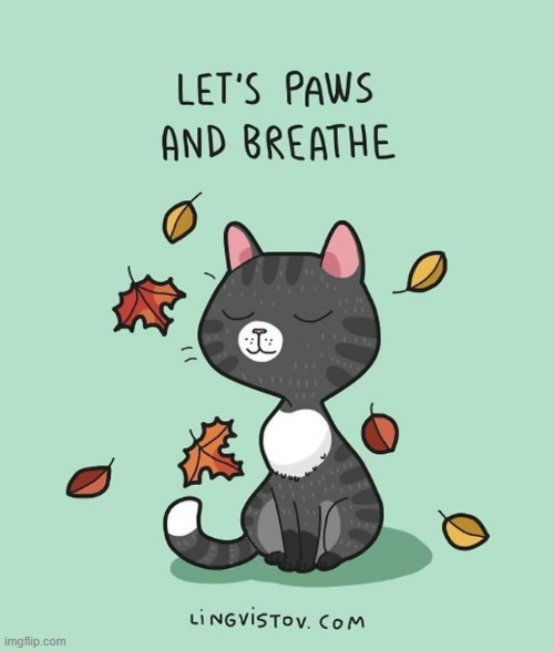 A Cat's Way Of Thinking | image tagged in memes,comics,cats,paws,and,breathe | made w/ Imgflip meme maker