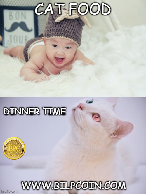 CAT FOOD; DINNER TIME; WWW.BILPCOIN.COM | made w/ Imgflip meme maker