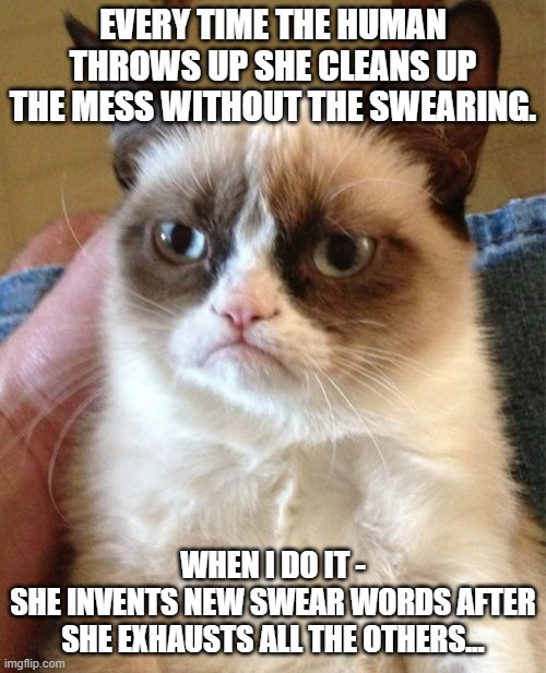 A Cat Knows... | EVERY TIME THE HUMAN THROWS UP SHE CLEANS UP THE MESS WITHOUT THE SWEARING. WHEN I DO IT -
SHE INVENTS NEW SWEAR WORDS AFTER SHE EXHAUSTS ALL THE OTHERS... | image tagged in memes,grumpy cat,cats,so true,deep thoughts,cat memes | made w/ Imgflip meme maker