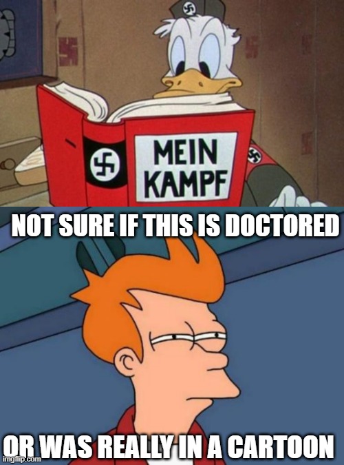 Donald Duckazi? | NOT SURE IF THIS IS DOCTORED; OR WAS REALLY IN A CARTOON | image tagged in memes,futurama fry | made w/ Imgflip meme maker
