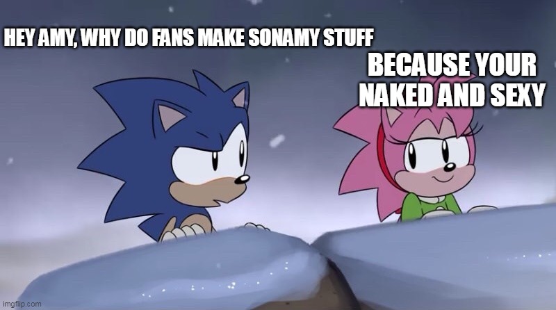 So True | HEY AMY, WHY DO FANS MAKE SONAMY STUFF; BECAUSE YOUR NAKED AND SEXY | image tagged in sonic and amy christmas special | made w/ Imgflip meme maker