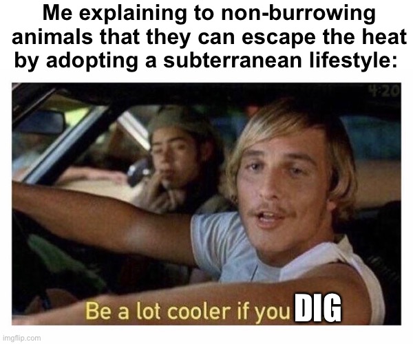 Solid logic | Me explaining to non-burrowing animals that they can escape the heat by adopting a subterranean lifestyle:; DIG | image tagged in be a lot cooler if you did,funny memes | made w/ Imgflip meme maker