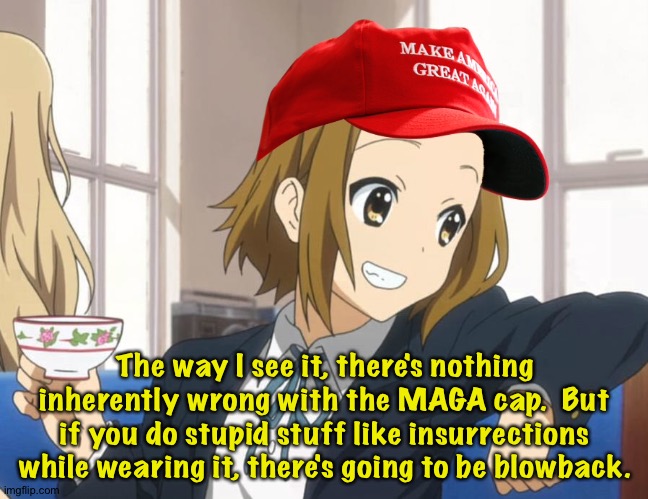 MAGA Hatti speaks | The way I see it, there's nothing inherently wrong with the MAGA cap.  But if you do stupid stuff like insurrections while wearing it, there's going to be blowback. | image tagged in maga | made w/ Imgflip meme maker