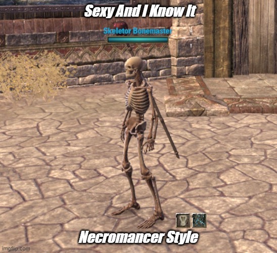 Sexy And I Know It Necromancer Style | Sexy And I Know It; Necromancer Style | image tagged in sexy and i know it,eso,necromancer,elder scrolls online | made w/ Imgflip meme maker